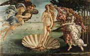 Sandro Botticelli The Birth of Venus (mk08) oil on canvas